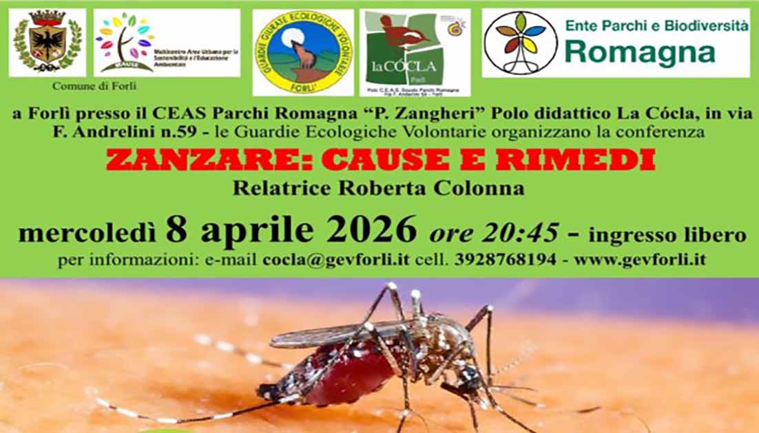 Volantino serata zanzare