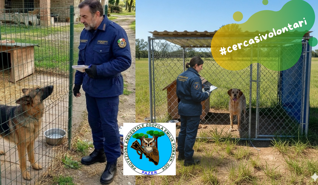 Impegno quotidiano per la tutela degli animali e dell’ambiente