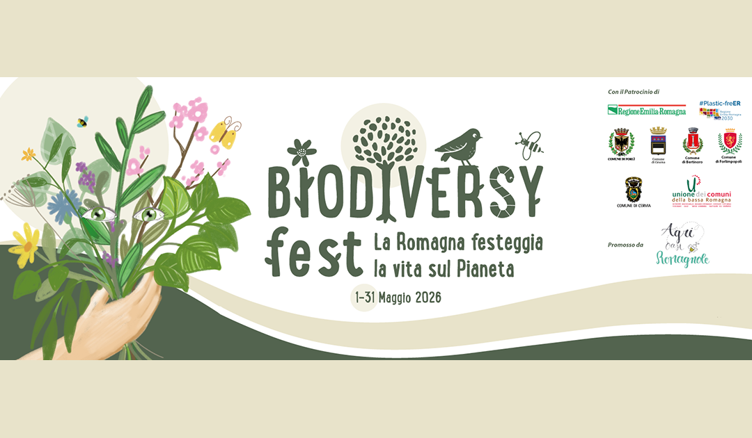 BiodiversyFest 2026