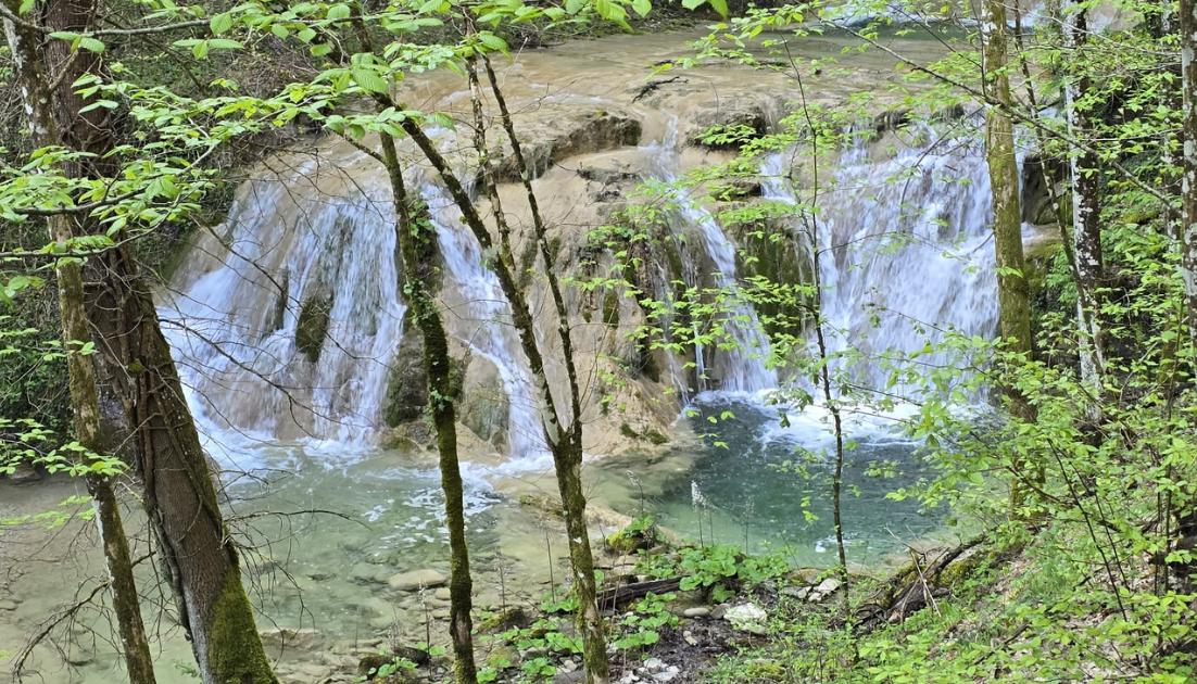 foresta-pietrapazza Rimini: il 10 e 24 maggio, due nuove uscite alla scoperta del territorio