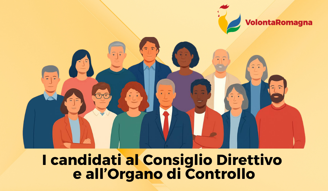 Elezioni VolontaRomagna