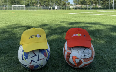 Tu scendi in campo con me