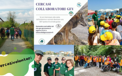 Un impegno concreto per l’ambiente