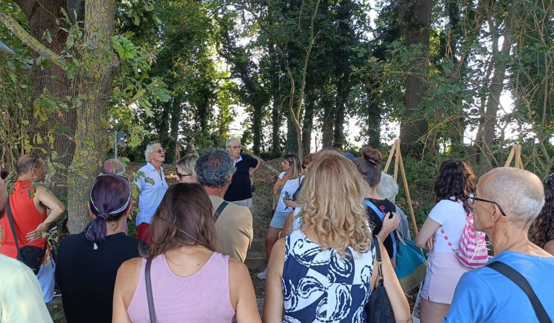 Passeggiate a contatto con la natura