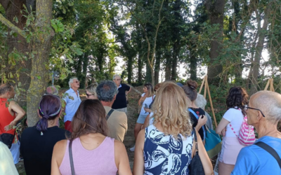 Passeggiate a contatto con la natura