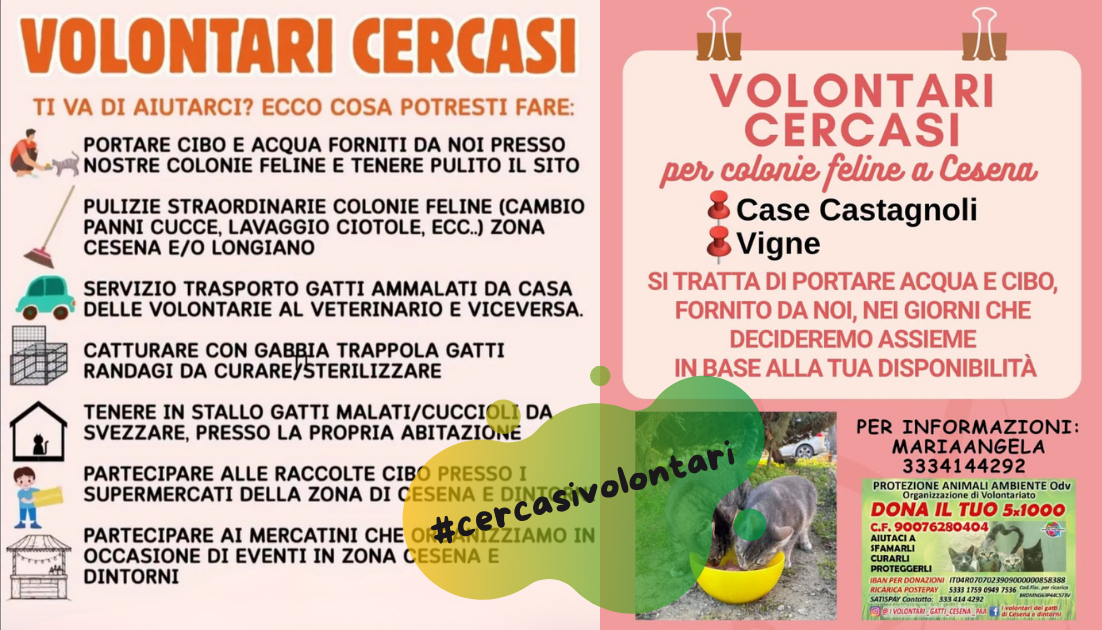 volontari protezione animali ambiente cesena