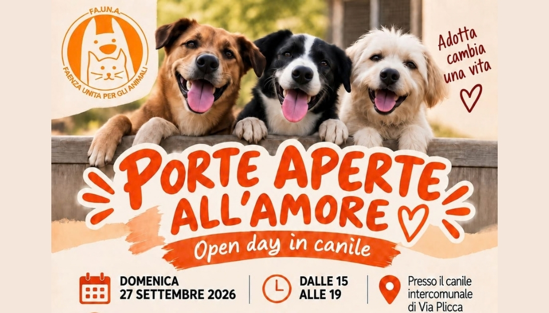 Articolo openday