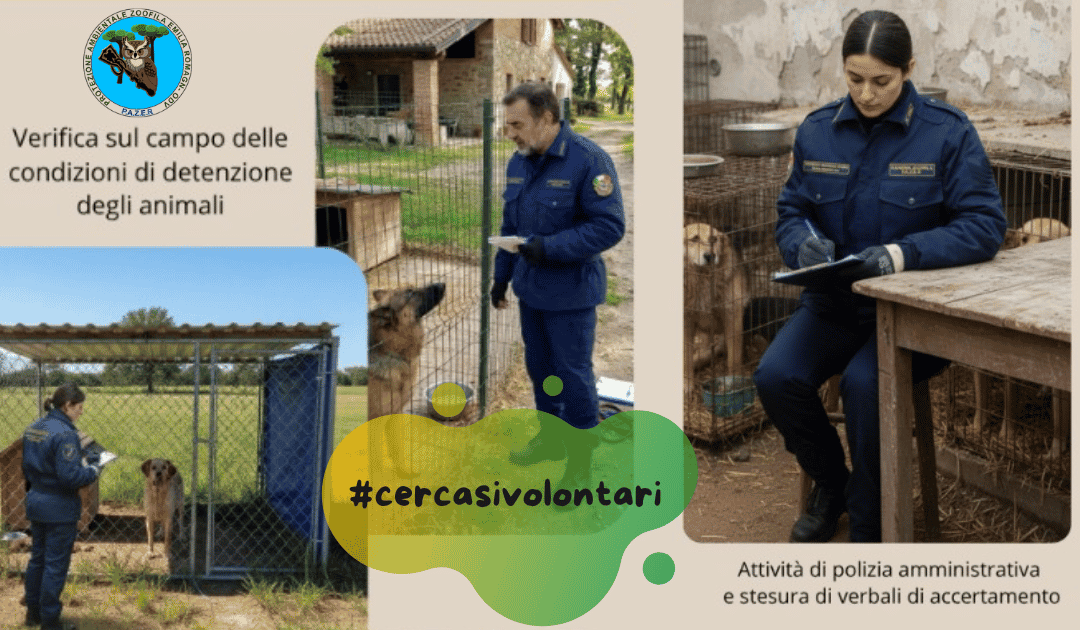 Corso di Formazione Guardie Zoofile PAZER 2027