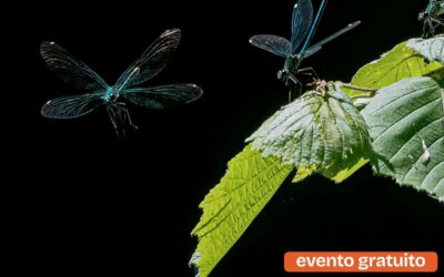 Corso fotografia naturalistica