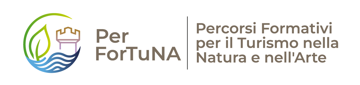 logo Csvnet