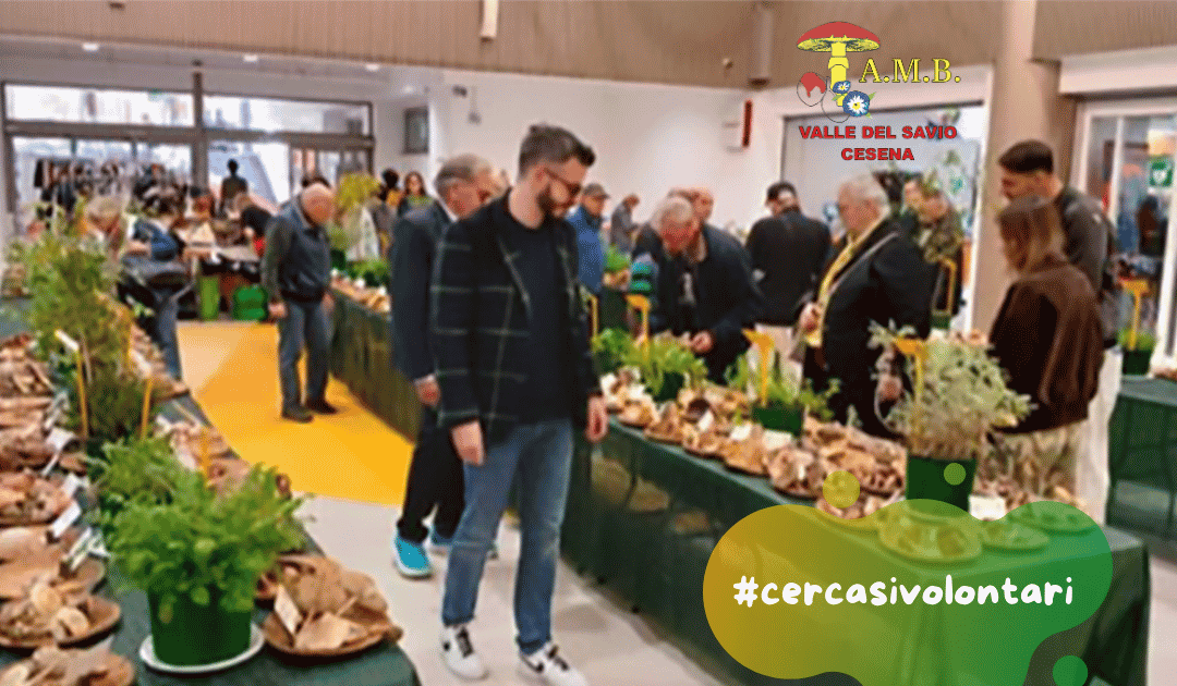 Segreteria per l’Associazione Micologica Valle del Savio