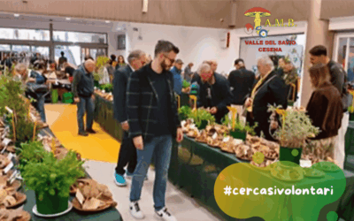 Segreteria per l’Associazione Micologica Valle del Savio