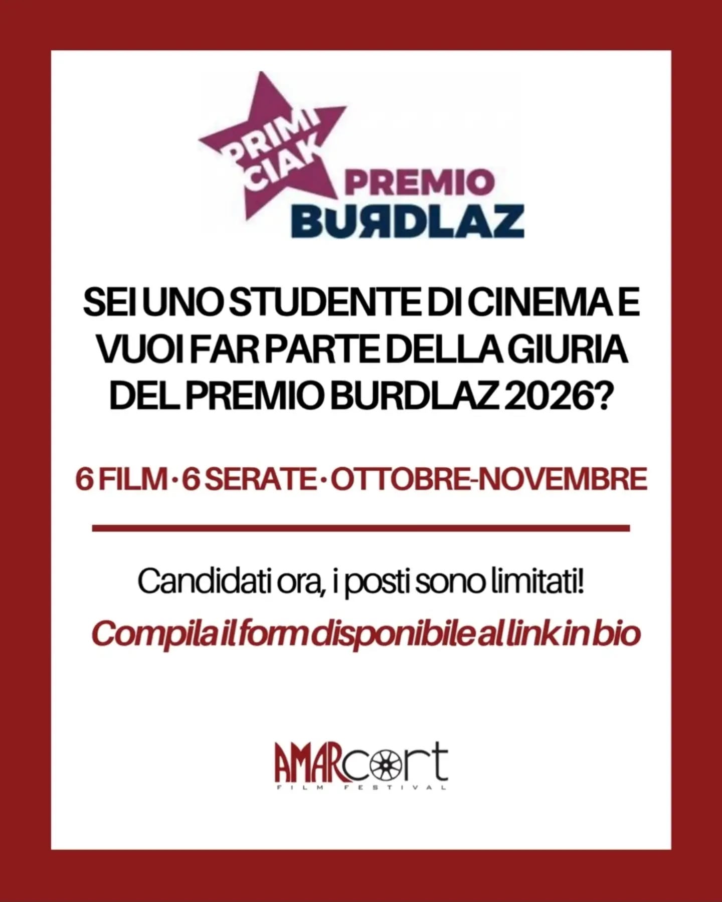 volontari per il Premio Burdlaz