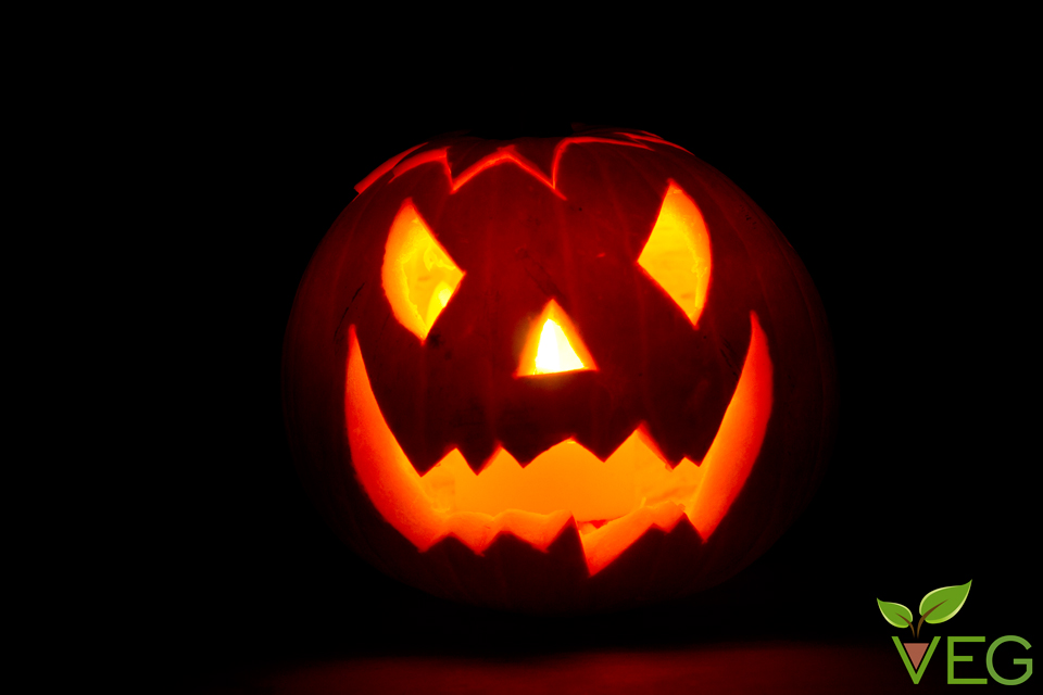 Halloween a Gaiofana