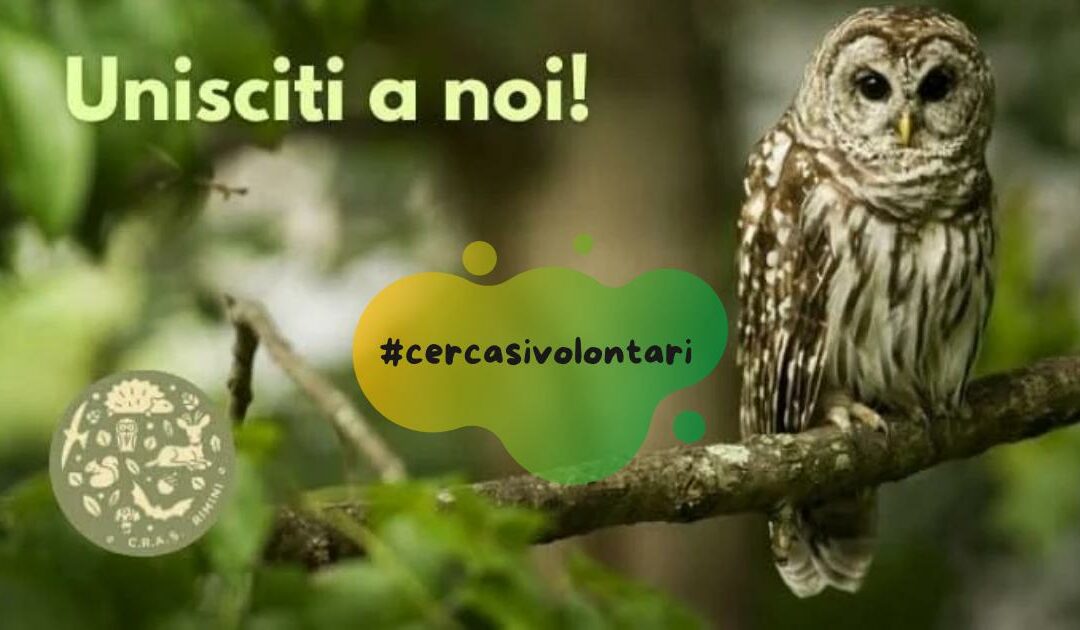 Volontari per gli animali selvatici