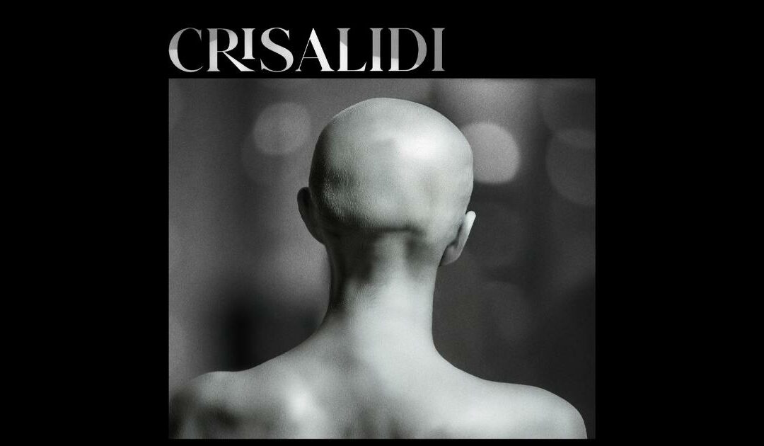 Crisalidi