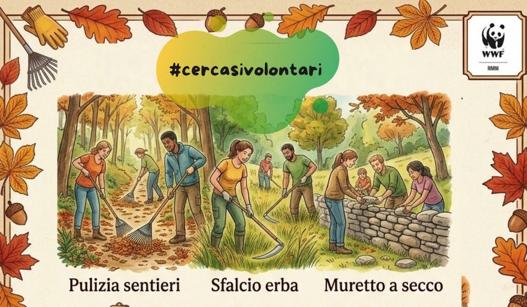 Volontari in natura
